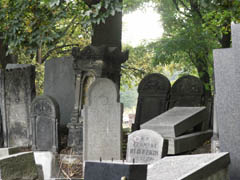Cmentarz żydowski